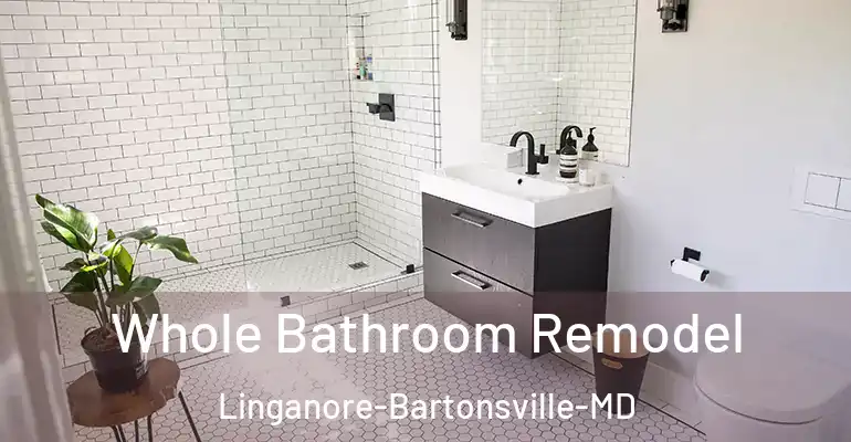 inner Bathroom imggen Whole Bathroom Remodel Linganore-Bartonsville-MD