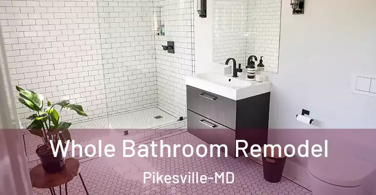 inner Bathroom imggen Whole Bathroom Remodel Pikesville-MD