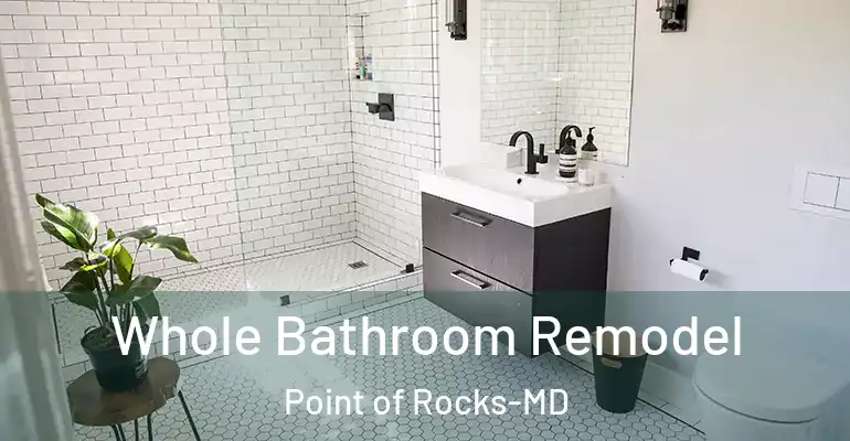 inner Bathroom imggen Whole Bathroom Remodel Point of Rocks-MD