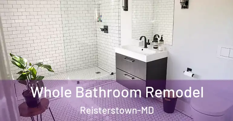 inner Bathroom imggen Whole Bathroom Remodel Reisterstown-MD