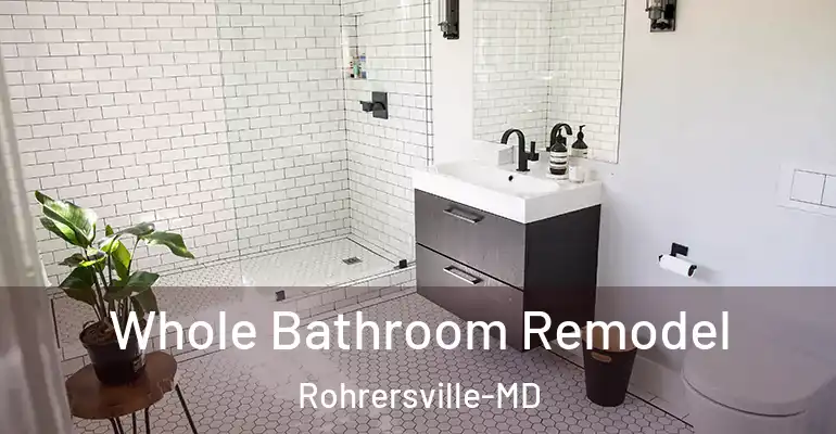 inner Bathroom imggen Whole Bathroom Remodel Rohrersville-MD