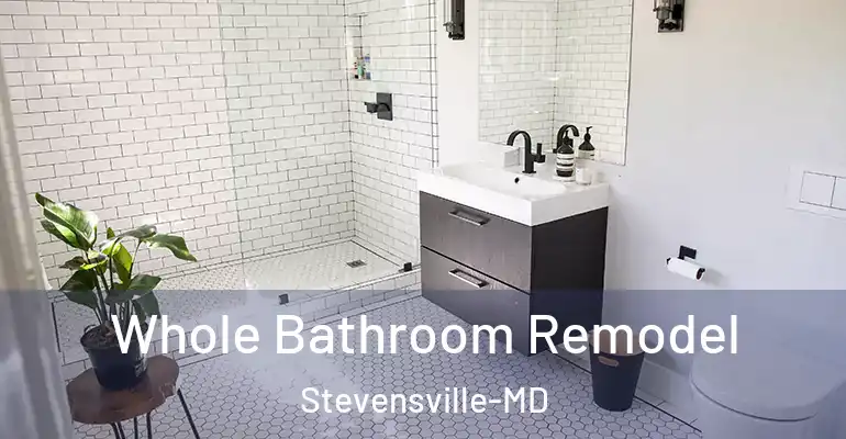 inner Bathroom imggen Whole Bathroom Remodel Stevensville-MD