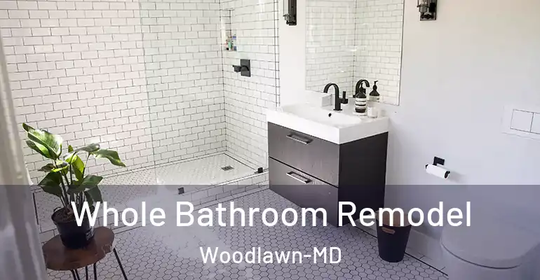 inner Bathroom imggen Whole Bathroom Remodel Woodlawn-MD
