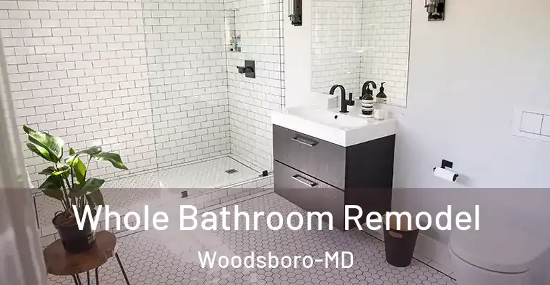 inner Bathroom imggen Whole Bathroom Remodel Woodsboro-MD